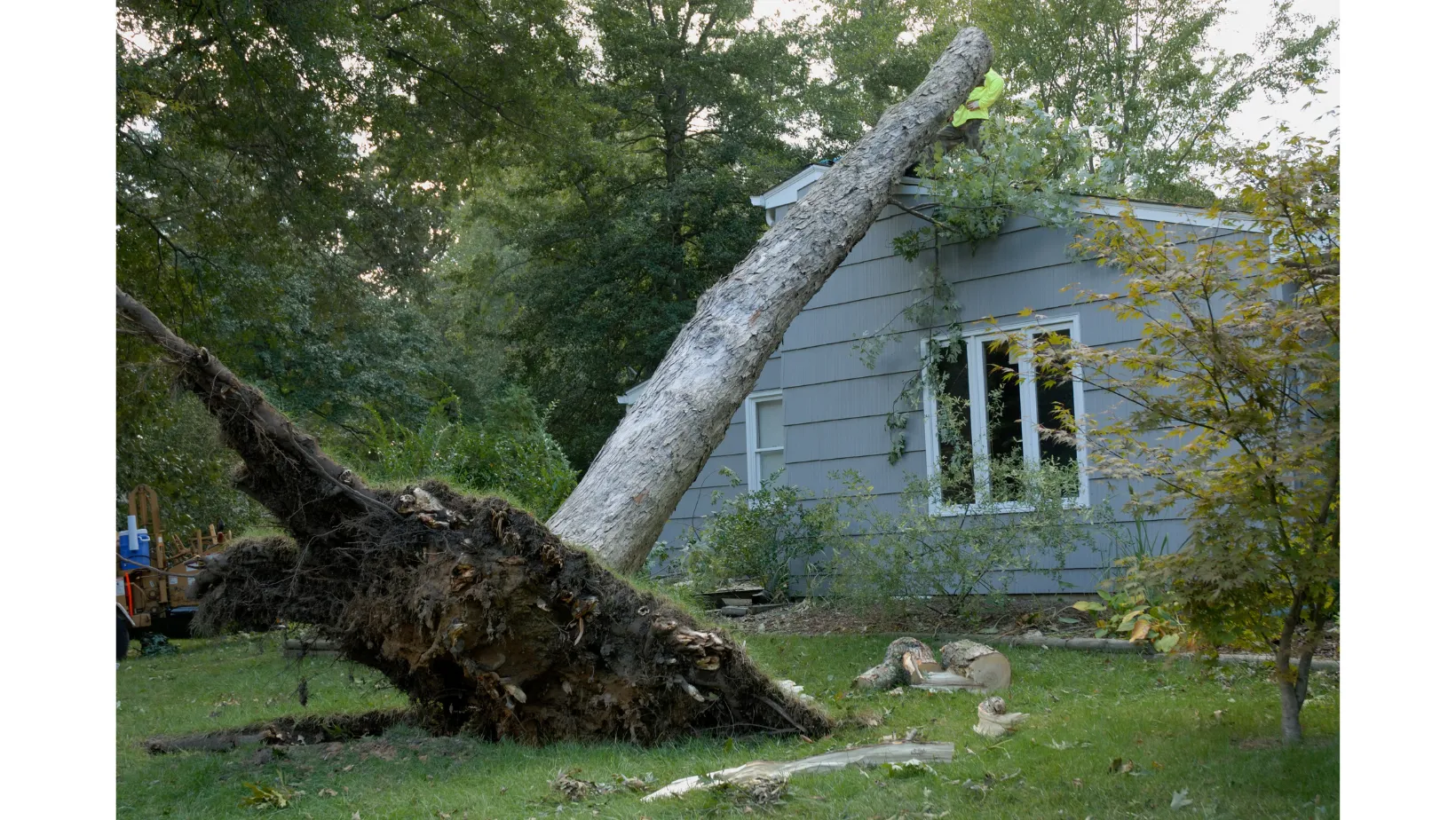 A picture of a tree that fell over onto a house causing damage to the roof in Slidell, LA